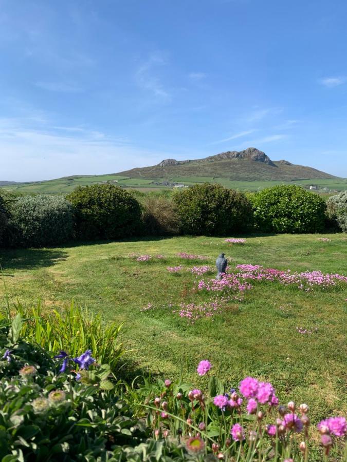 Craig-Y-Mor Suites With Sea Views Whitesands St Davids المظهر الخارجي الصورة